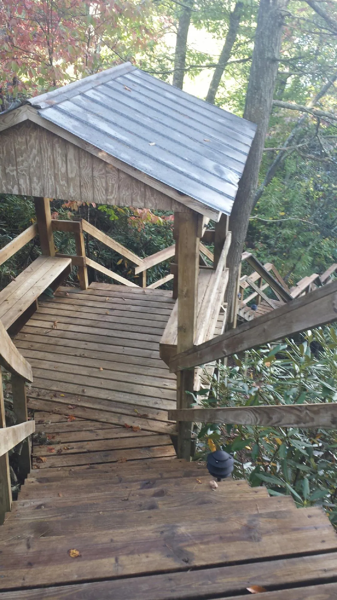 Metal roofed shelter over wooden steps on a wooded walkway — Skylight Repair & Installation work by our crew in Delta